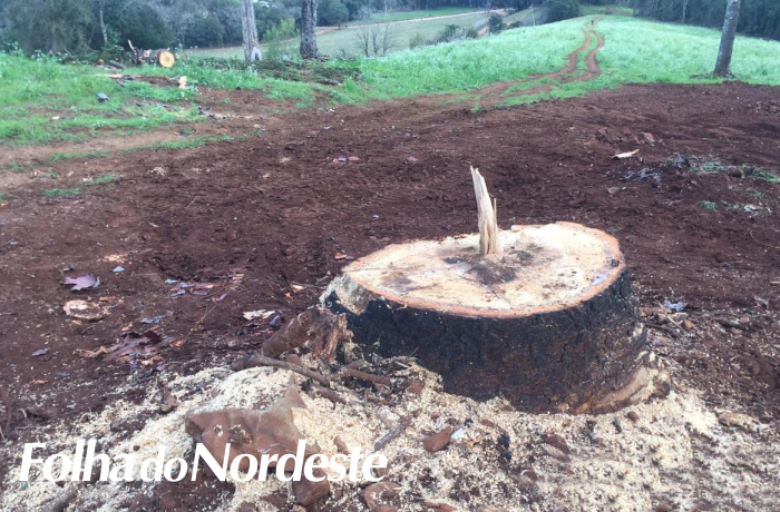 Polícia atende denúncia de crime ambiental em Sananduva