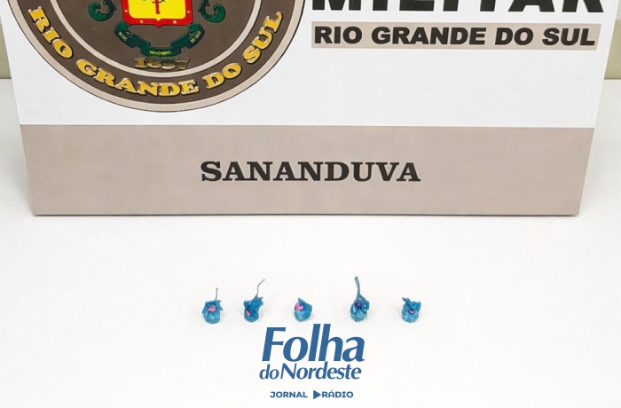 Brigada Militar prendeu homem por tráfico de drogas em Sananduva