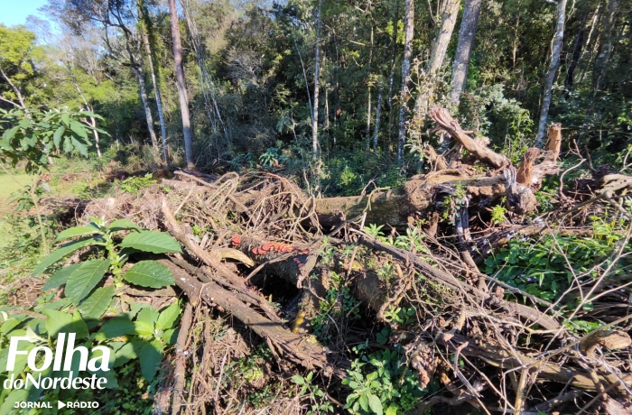 PATRAM registra crimes ambientais em áreas rurais de Lagoa Vermelha