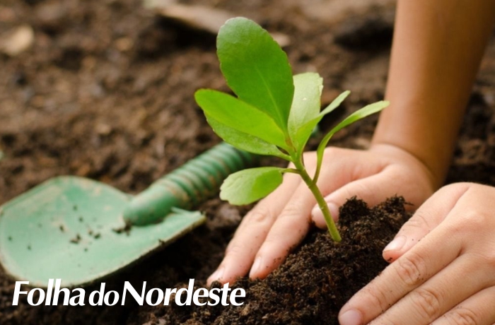 Secretaria da Agricultura de Lagoa Vermelha inicia primeira etapa de pedidos do Programa de Aquisição de Mudas Frutíferas