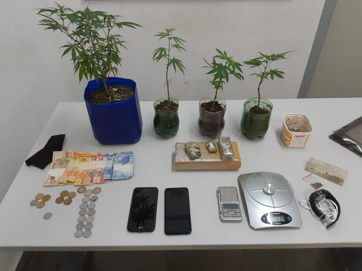 PRF e BM prende dois traficantes por cultivo de maconha em estufa residencial