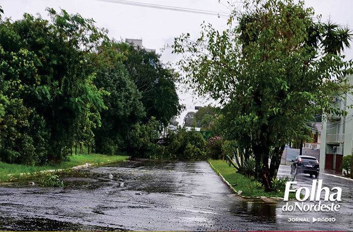 Vendaval atinge Lagoa Vermelha e causa estragos