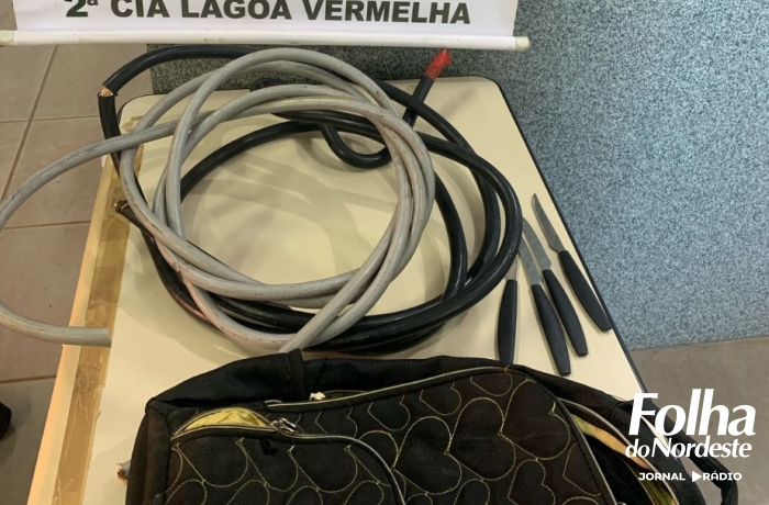 Brigada Militar prende dupla em flagrante por furto qualificado de fios de cobre em Lagoa Vermelha