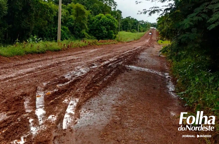 ERS 442 que liga São José do Ouro a Machadinho está sem condições de trânsito