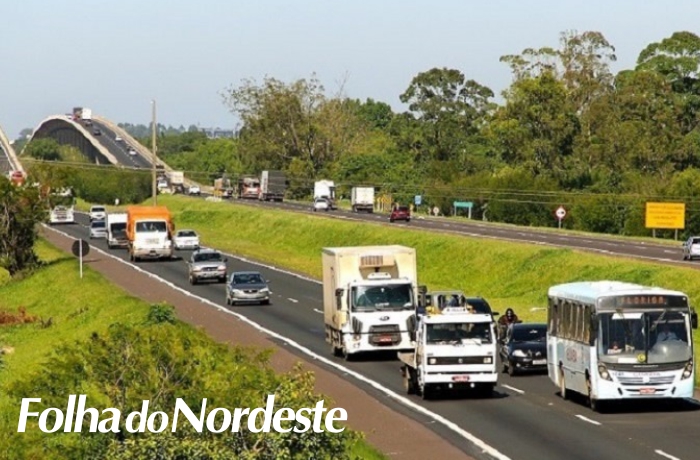 Prazo para renovação do exame toxicológico de CNHs com validade entre julho e dezembro de 2022 termina na quinta-feira (30)