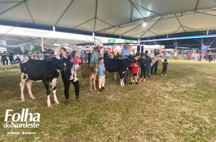 Gado holandês premia jovens puxadores na Expointer 2024