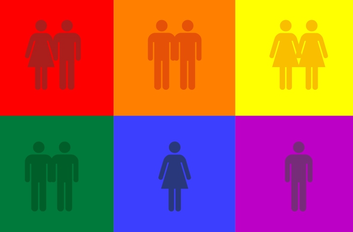 Capacitação dos profissionais de Saúde para atendimento da população LGBTQI+ é pauta de Indicação ao Executivo