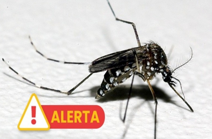 Aumento de casos de dengue no RS pode ter relação com fenômenos climáticos
