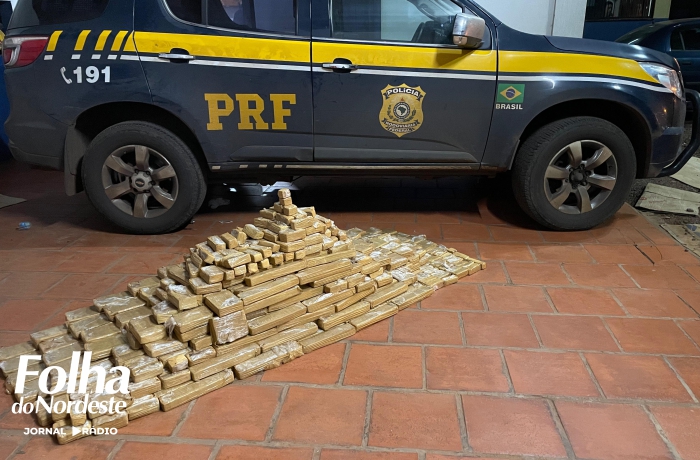Motorista argentino é preso com 231 quilos de maconha na BR 386
