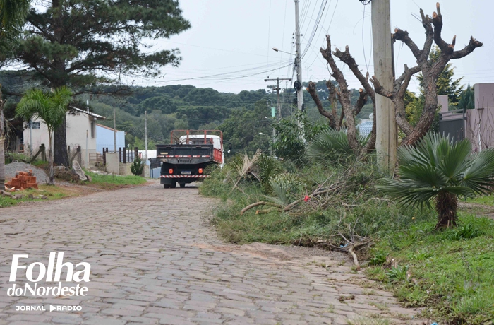 Serviço de poda e recolhimento de galhos segue na próxima semana