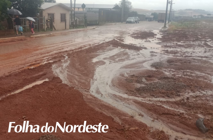 Melhorias em ruas da cidade são temas de pedidos do vereador Papeleiro