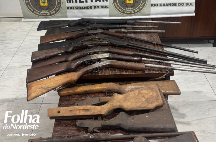 Polícia apreende nove armas de fogo em ferraria no bairro São Cristóvão, em Sananduva