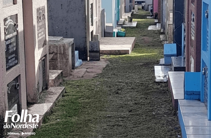 Cemitério Municipal de Lagoa Vermelha passa por limpeza e manutenção geral