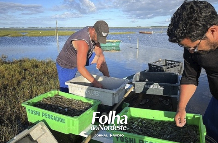 Governo do RS lança programa de R$ 5 milhões para fortalecer a pesca artesanal