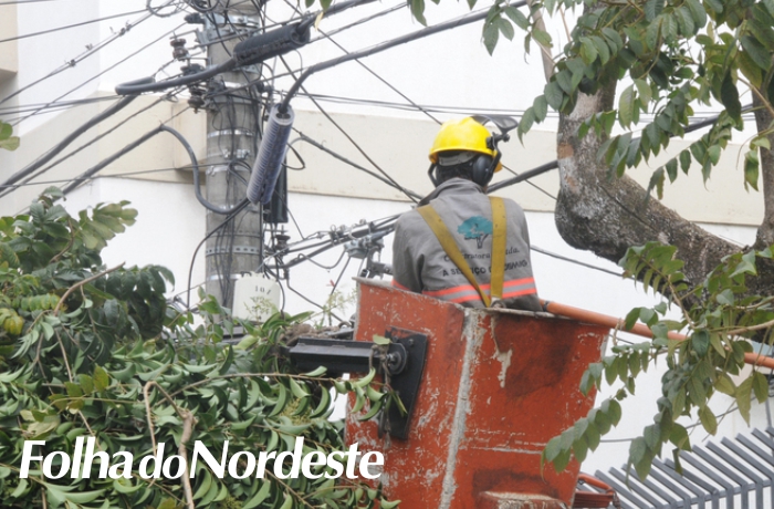 RGE é notificada para que realize poda de árvores no bairro Operário