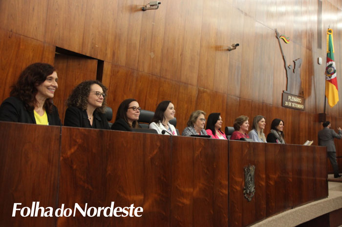 Deputada Luciana Genro articula emendas para combate à violência contra a mulher