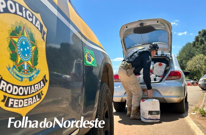 PRF apreende carro com mais de meia tonelada de agrotóxicos ilegais
