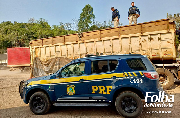 5 toneladas: PRF apreende carreta carregada com maconha e skunk em Iraí