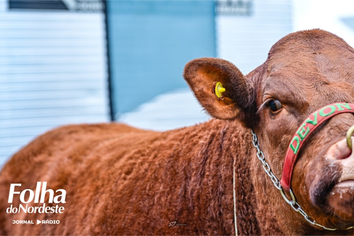 Cabanha Santa Lúcia integra projeto piloto de rastreabilidade bovina lançado na Expointer