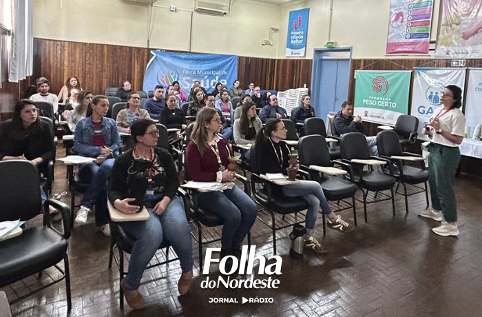 Profissionais participam de treinamento sobre diagnóstico e manejo da sífilis em Lagoa Vermelha