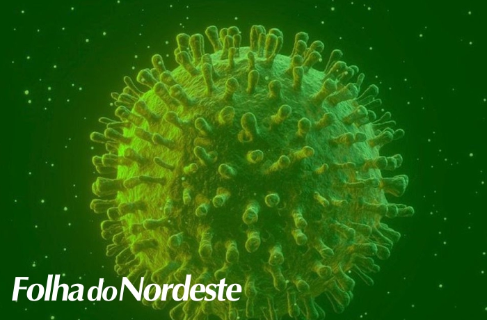Opas: Brasil pode chegar a 88 mil óbitos por covid-19 em agosto