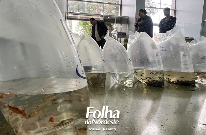 Prefeitura de Lagoa Vermelha realiza entrega de alevinos e fortalece a piscicultura local
