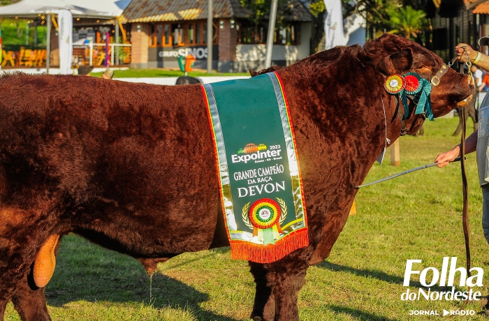 Devon premia os Grandes Campeões de argola na Expointer 2023