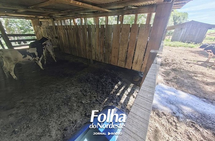 Fiscalização constata crime ambiental no interior de Água Santa
