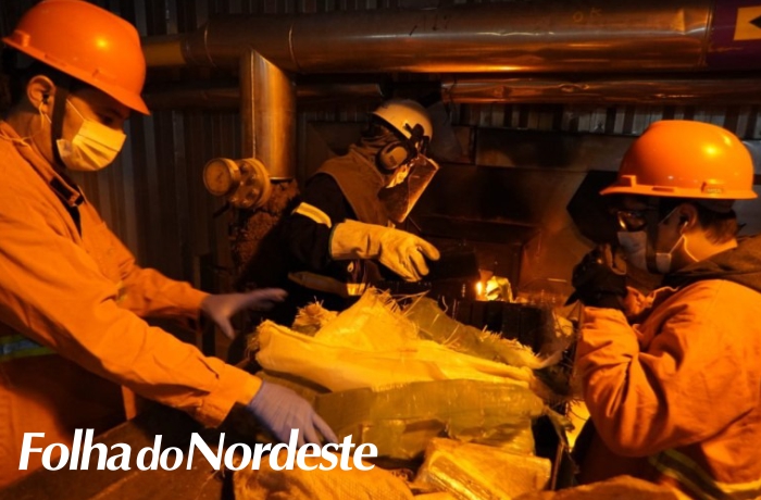 Forças de segurança estaduais e federais incineram 7,6 toneladas de drogas