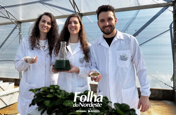 Pesquisa da UPF desenvolve biofertilizantes à base de microalgas para uma agricultura mais sustentável