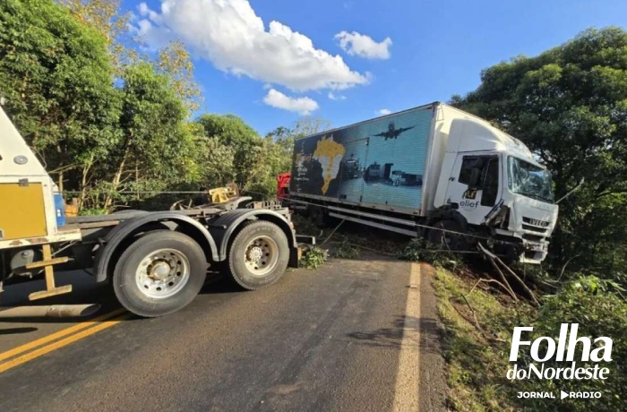 Caminhão sai da pista e cai em barranco na ERS-135 entre Passo Fundo e Erechim