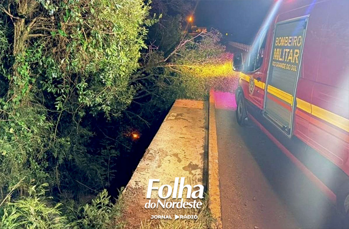 Acidente é registrado na ERS-461 entre Capão Bonito do Sul e Lagoa Vermelha
