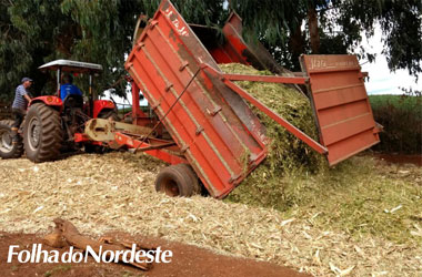 Capão Bonito Sul: Secretaria da agricultura segue com limpeza e abertura de novos silos trincheira