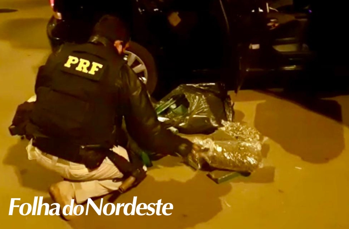 PRF prende traficante com maconha e skank