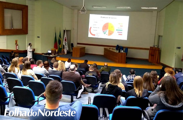 Pesquisa investiga microbioma presente em queijos clandestinos 