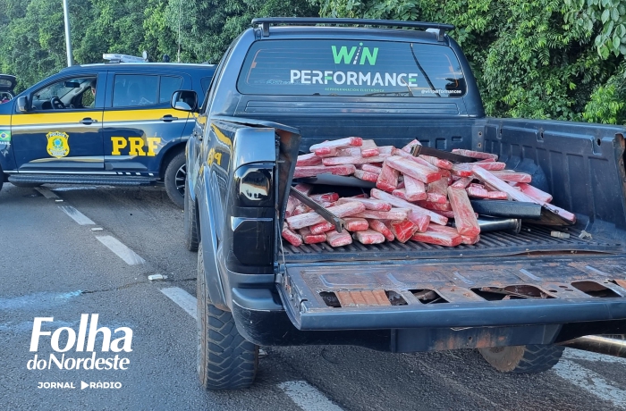 Dois homens foram presos transportando 91 quilos de maconha na BR-386