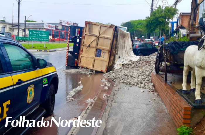Caminhão carregado com restos de peixe tomba na BR 285