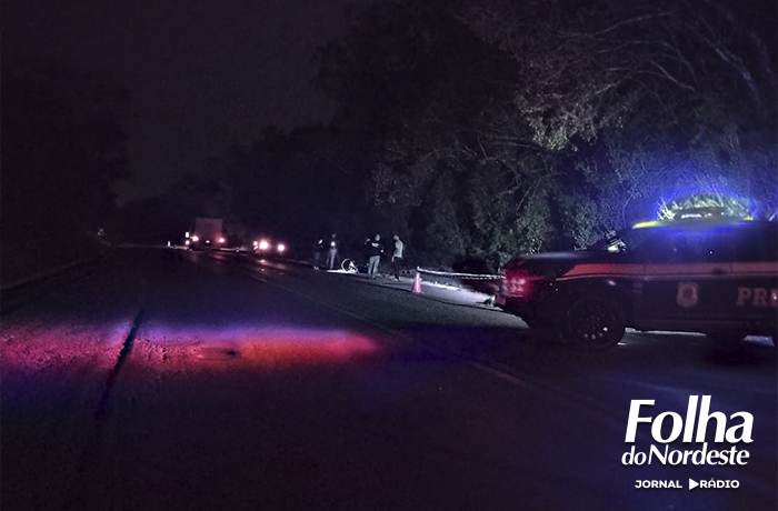 Colisão frontal na BR 386 em Frederico Westphalen deixa motociclista morto