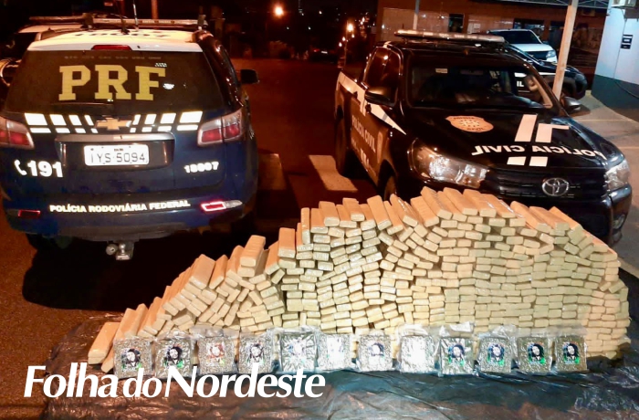 PRF e PC prendem traficantes com meia tonelada de maconha 