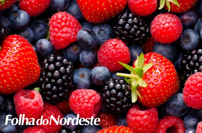 Pequenos frutos será tema de palestra promovida pela Agricultura de Capão Bonito do Sul
