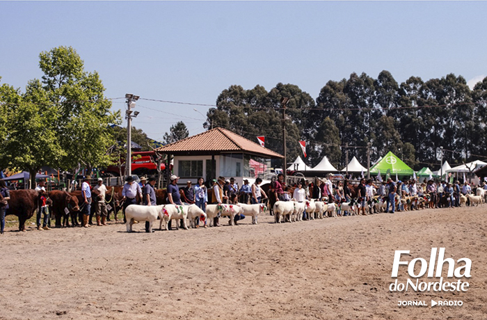 ExpoAgro André da Rocha: feira e simpósio projetam o futuro do agronegócio