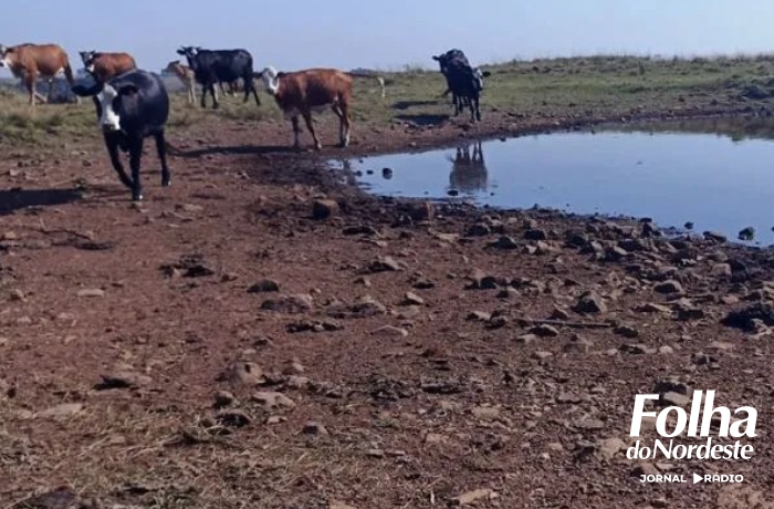São José do Ouro decreta situação de emergência devido à estiagem