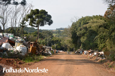 Pavimentação da Rua Xavantes está 50% concluída