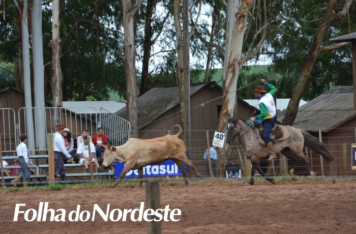 Rodeio de Lagoa: Atividades na Campeira iniciam nesta terça-feira, 31