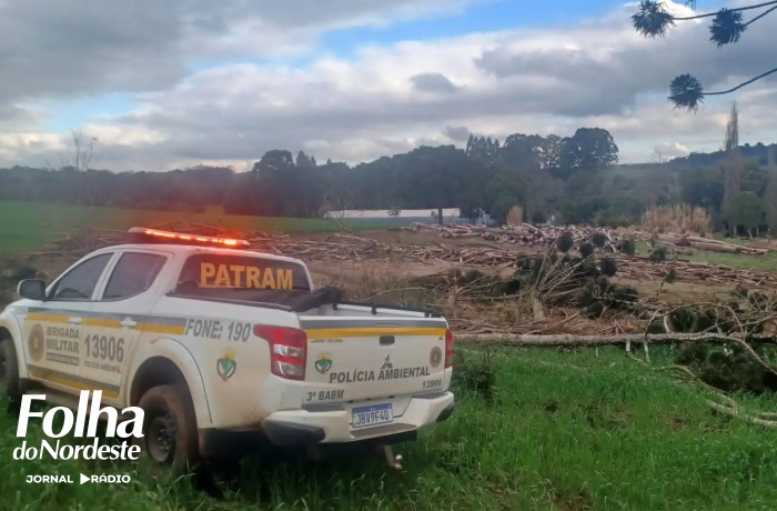 Guarnição Ambiental da Brigada Militar flagra corte ilegal de araucárias em área de preservação em Sananduva