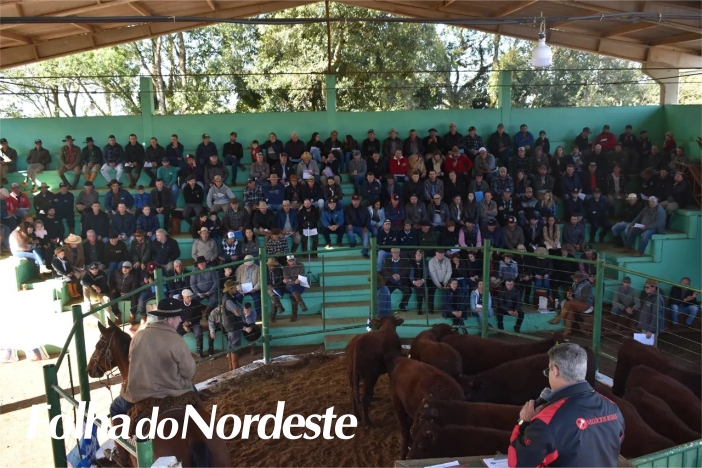 Feira do terneiro realizada em Machadinho