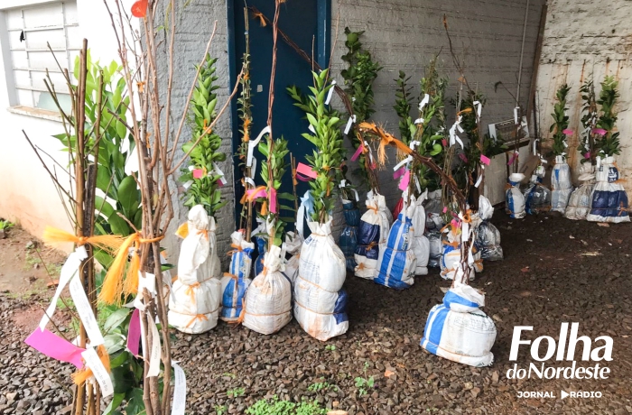 Pedidos para mudas frutíferas encerram dia 31