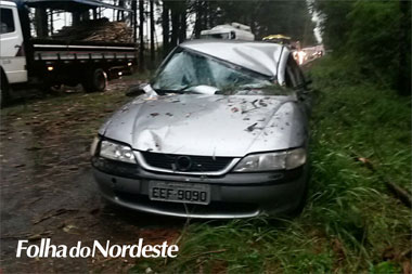 Temporal assola região: Carro é atingido por galhos de árvore na RS 126