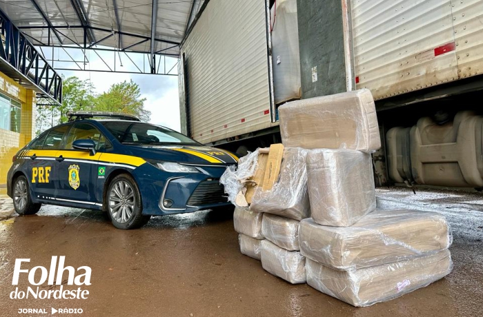 PRF apreende mais de 300 quilos de maconha em caminhão carregado com móveis