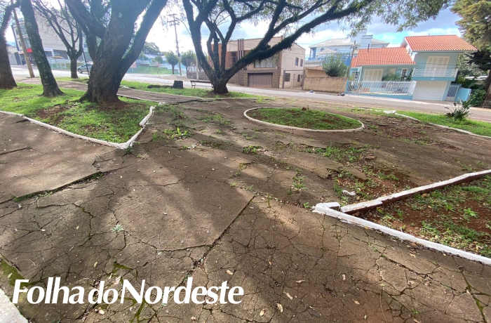 Vereador Pomatti solicita manutenção de praças